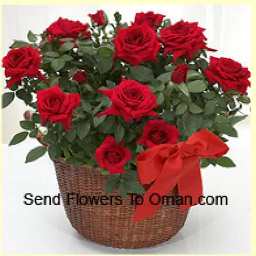 Kaunis järjestely 18 punaista ruusua sesonkikukkien kera