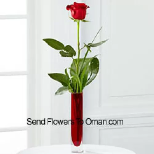 Uma única rosa vermelha em um vaso de tubo de ensaio vermelho (Reservamo-nos o direito de substituir o vaso em caso deindisponibilidade. Estoque limitado)