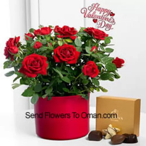 24 Crvene ruže s nešto paprati u velikoj vazi i kutijom čokolada Godiva (Zadržavamo pravo zamjene čokolada Godiva čokoladama jednake vrijednosti u slučaju nedostupnosti istih. Ograničena količina)